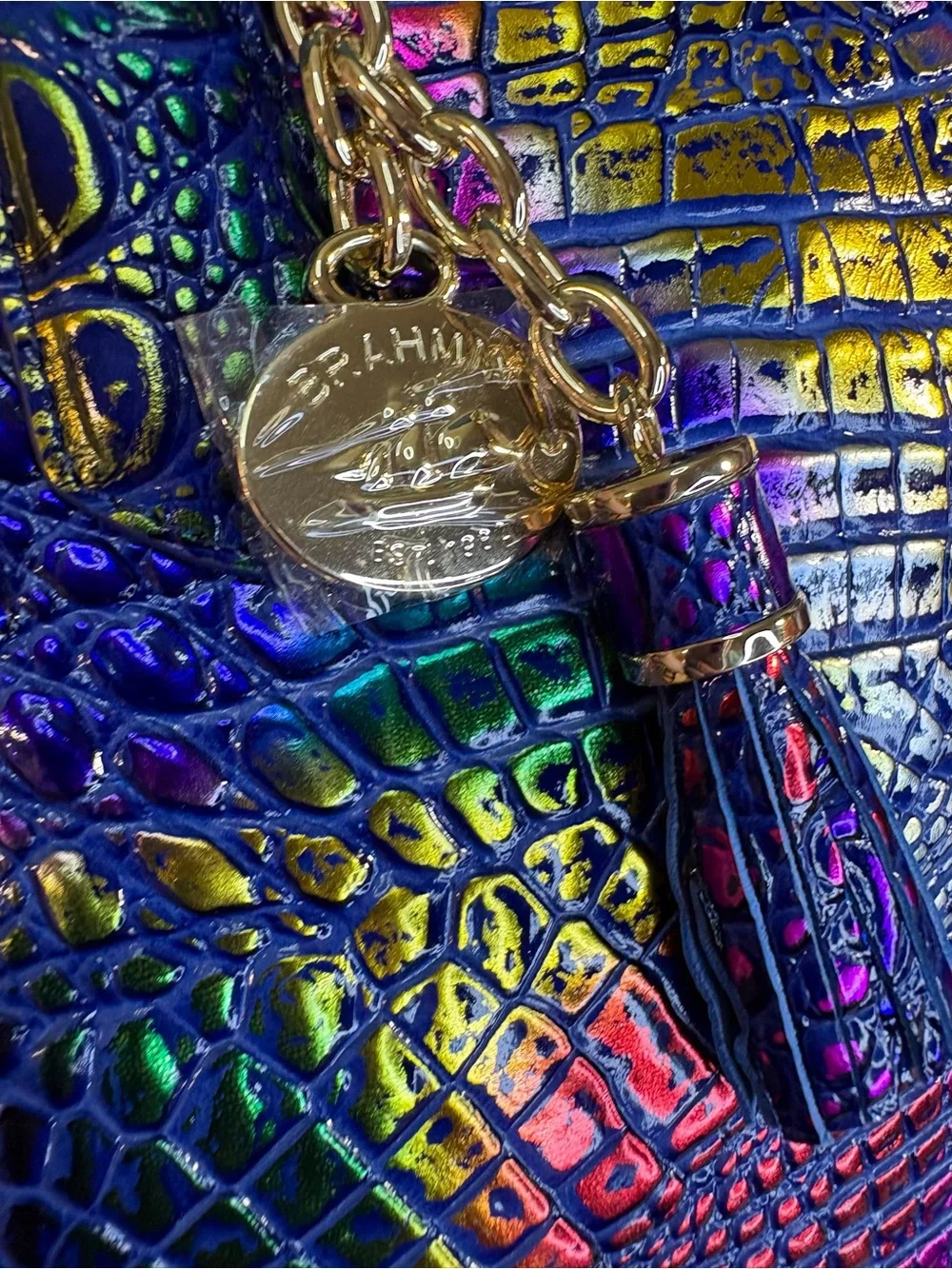 Brahmin NWT Md Asher - Spotlight - Metallic Rainbow - Front EYE - Rare, HTF